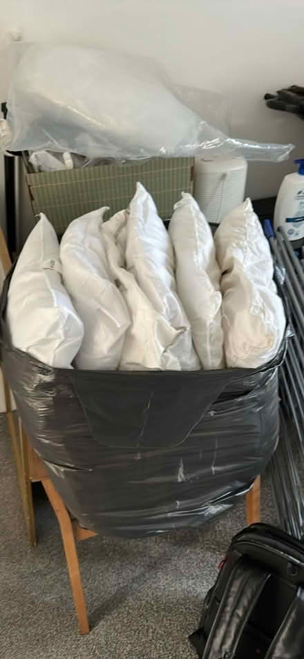 Photo of free Pillows (Felden HP3) #1