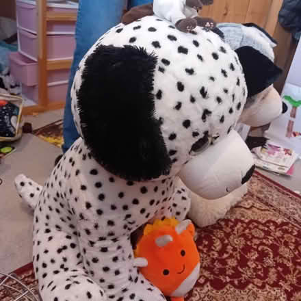 Photo of free Cuddly Toys x 4 (Kirk Hallam, DE7) #4