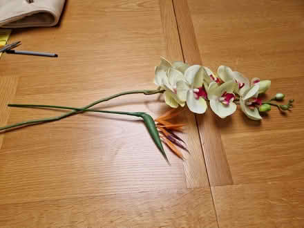 Photo of free Artificial flowers (Ormesby St Margaret NR29) #2