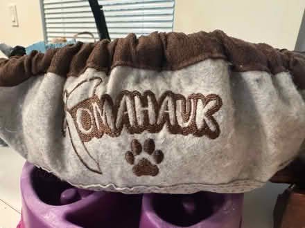 Photo of free Dogs snuffle mat (Oakland, CA) #1