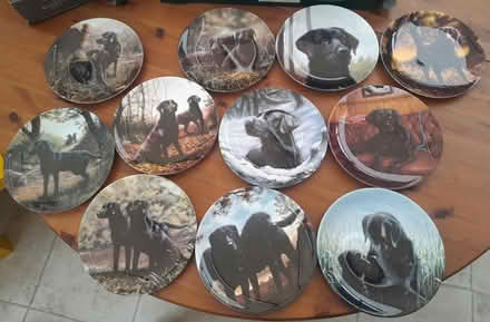 Photo of free Danbury Mint black labrador plates (Burgess hill) #1