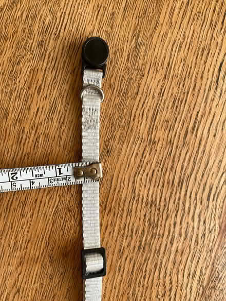 Photo of free Small pet collar (Pagham PO21 4) #3