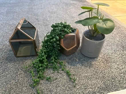 Photo of free 3 small ornaments (L4 - Walton - Liverpool) #1