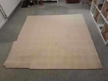 Photo of free Piece of used carpet grey 194x190 (Grassmarket EH1) #4