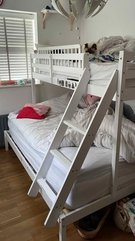 Photo of free Single/double bunk bed (Bayston Hill) #1
