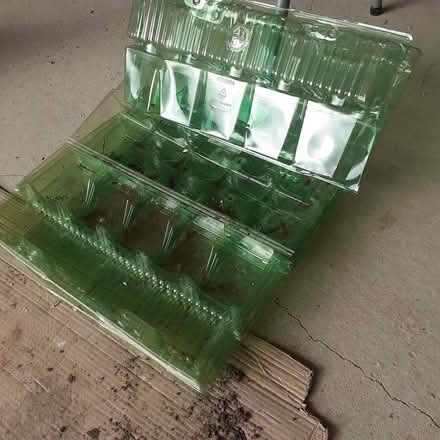 Photo of free Plant posting trays (Ambergate) #4