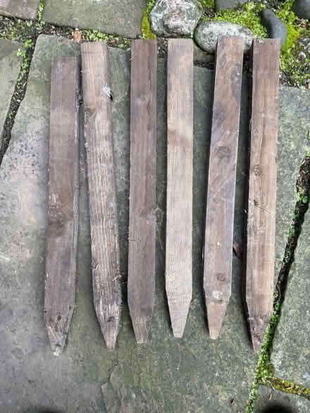 Photo of free Wooden stakes (Gosforth NE3) #1