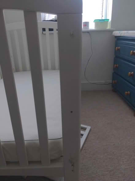 Photo of free Cot / toddler bed (N17, Tottenham) #3