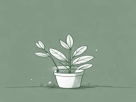 Photo of free Plants- please read post 1st (Fareham PO14) #1