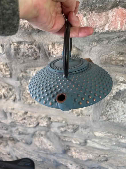 Photo of free Decorative teapot (Cork city Centre) #3