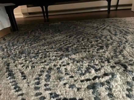 Photo of free pottery barn 100% wool rug (san jose west) #3