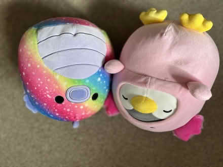 Photo of free Squishmellow and other soft toy (Florence Park OX4) #1