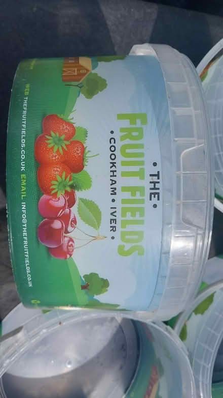 Photo of free Selection of plastic tubs and lids (Ealing Pitshanger W5) #2