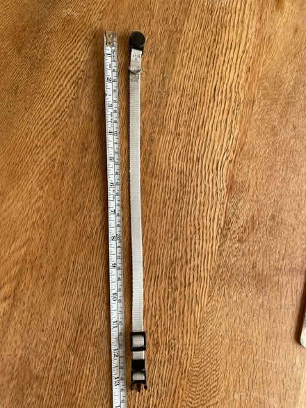 Photo of free Small pet collar (Pagham PO21 4) #1