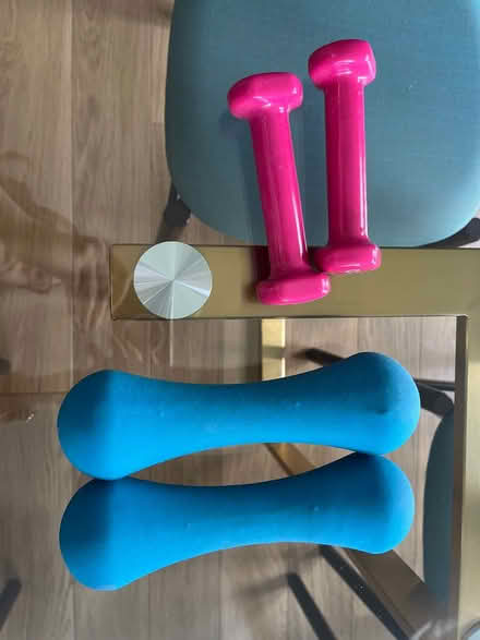 Photo of free Weights (0.5kg and 2kg) (E1) #1