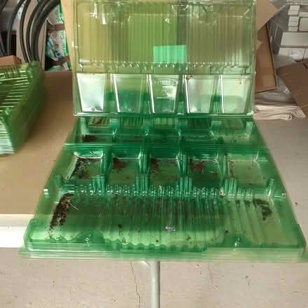 Photo of free Plant posting trays (Ambergate) #3