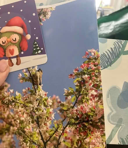 Photo of free Card stock,trays+containers~Crafts (Chelsea) #3