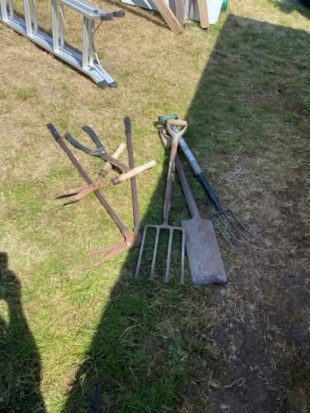 Photo of free Selection of gardening tools (Langney BN23) #1