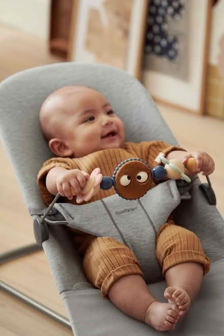 Photo of free Baby Bjorn bouncer seat attachment (Oval) #2