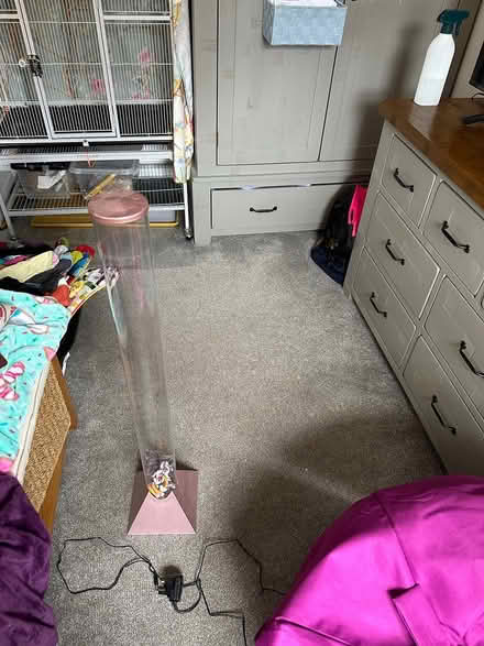 Photo of free Unicorn sensory lamp (Lytchett matravers) #1
