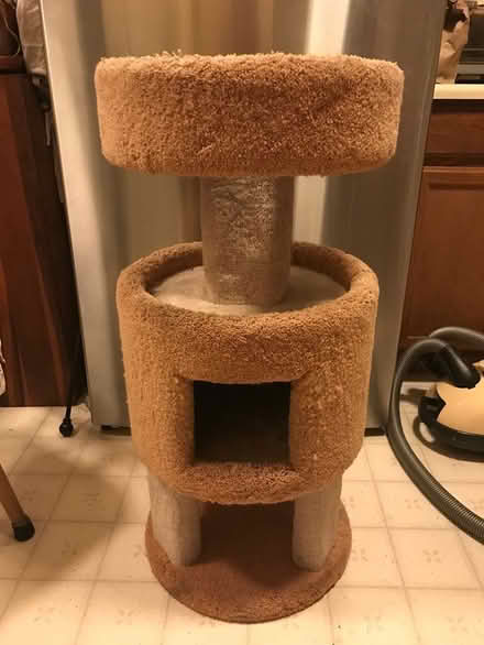 Photo of free Cat tree (Berkeley SW) #1
