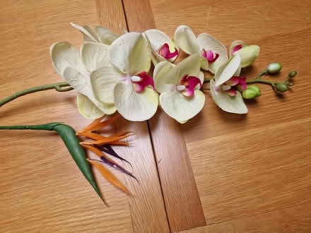 Photo of free Artificial flowers (Ormesby St Margaret NR29) #1