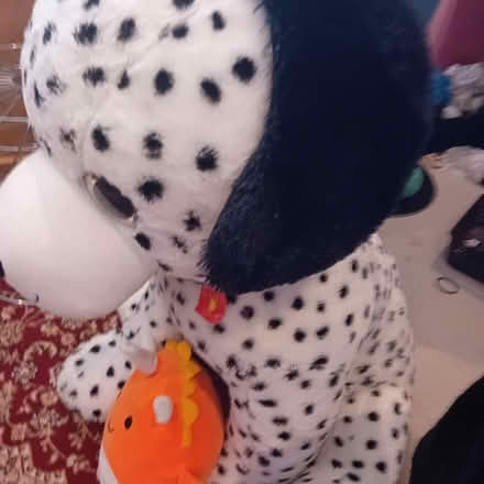 Photo of free Cuddly Toys x 4 (Kirk Hallam, DE7) #3