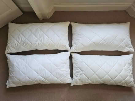 Photo of free 4 NEW superking wool pillows (Bathford) #1