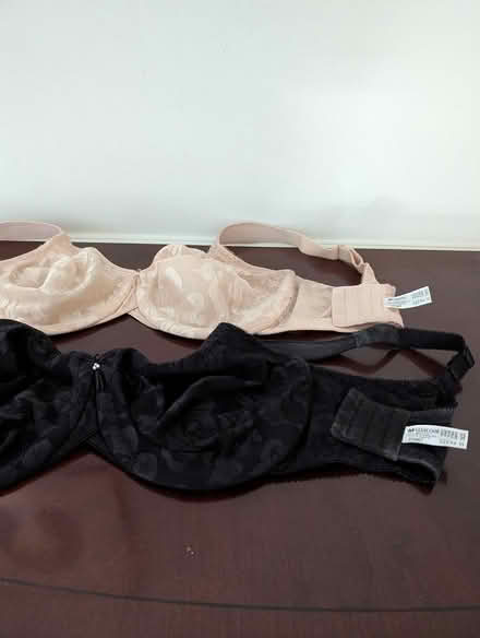 Photo of free 2 new bras (Farmington Hills SE) #1