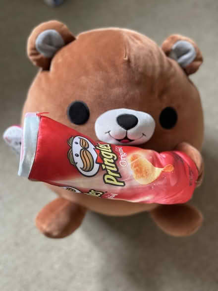 Photo of free Big soft teddy pringles bear (Florence Park OX4) #1