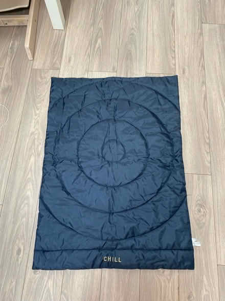 Photo of free Dog mat (East Twerton BA2) #1