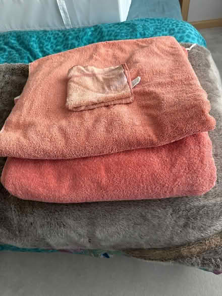 Photo of free Terracotta towels (Hove BN3) #1