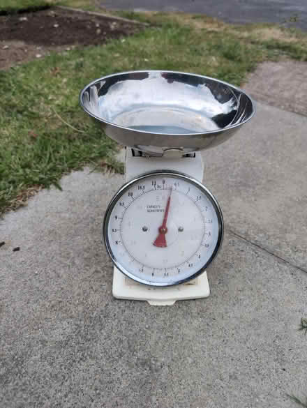 Photo of free Scales (Calcot RG31) #1