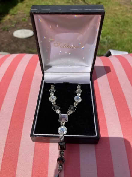 Photo of free Necklace with box (Waddon) #1