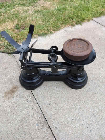 Photo of free Black scales (Calcot RG31) #1