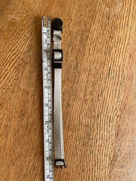 Photo of free Small pet collar (Pagham PO21 4) #2