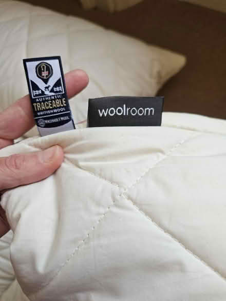 Photo of free 4 NEW superking wool pillows (Bathford) #2