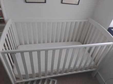 Photo of free Cot / toddler bed (N17, Tottenham) #2