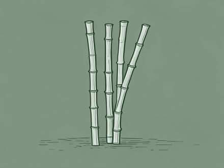 Photo of 6’ Bamboo garden canes (Weston BA1) #1