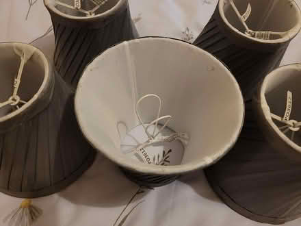 Photo of free Small lamp shades (Bedlington NE22) #2