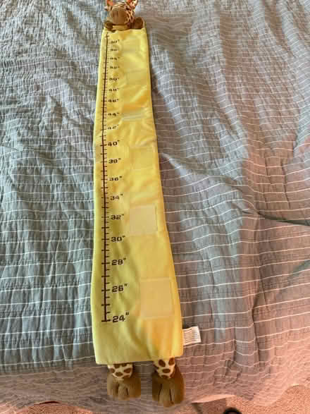 Photo of free Giraffe height chart (Near Montrose Rd and 270) #1