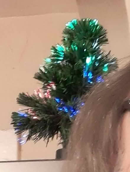 Photo of free Mini lighted Christmas tree (Teaneck) #1