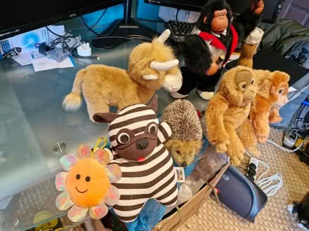 Photo of free Cuddly toys (Denton) #1