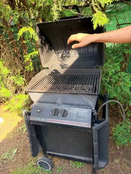 Photo of free Streaking Bbq (Erindale park) #2