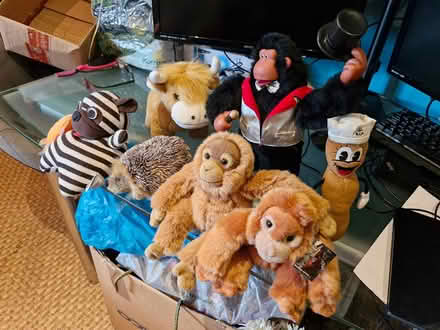 Photo of free Cuddly toys (Denton) #2