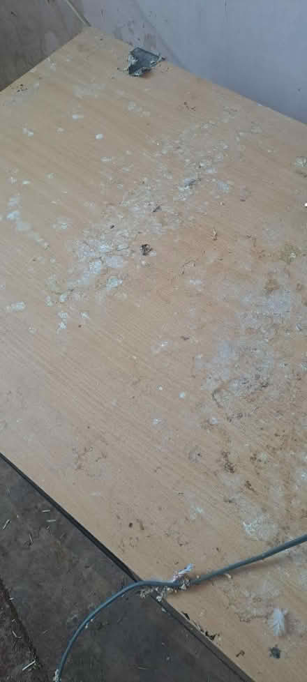 Photo of free Large Vivarium (Churchdown GL3) #3