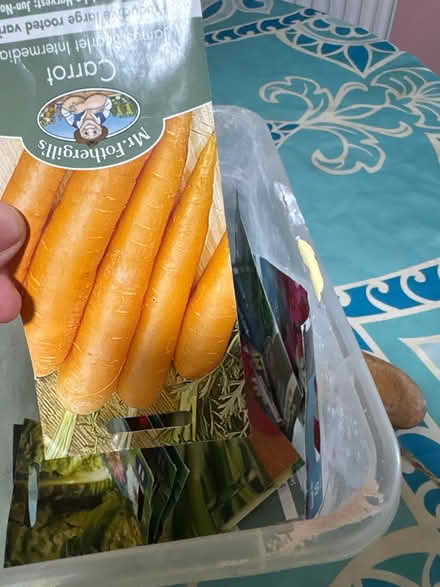 Photo of free Vegetable and flower seeds (BN2) #2