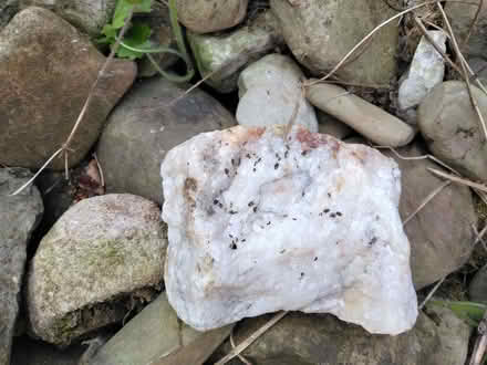 Photo of free Quantity of garden stone (Mold CH7) #3