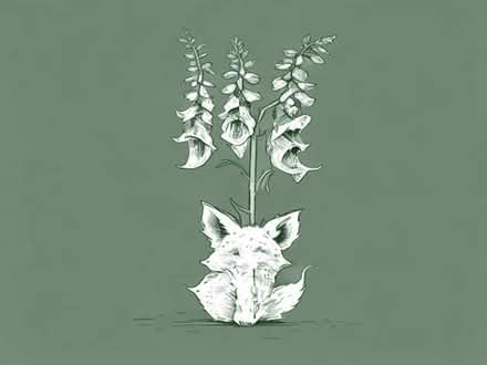 Photo of free Foxgloves (Tilehurst RG31) #1