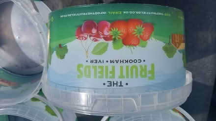 Photo of free Selection of plastic tubs and lids (Ealing Pitshanger W5) #2